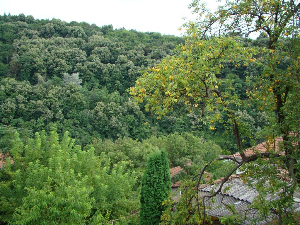 Guest House Selin Veliko Tarnovo Exteriér fotografie